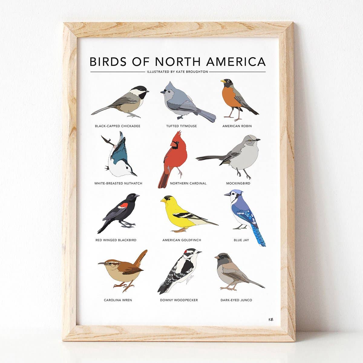 Kate Broughton – wholesale Art print – Birds of North America Print5