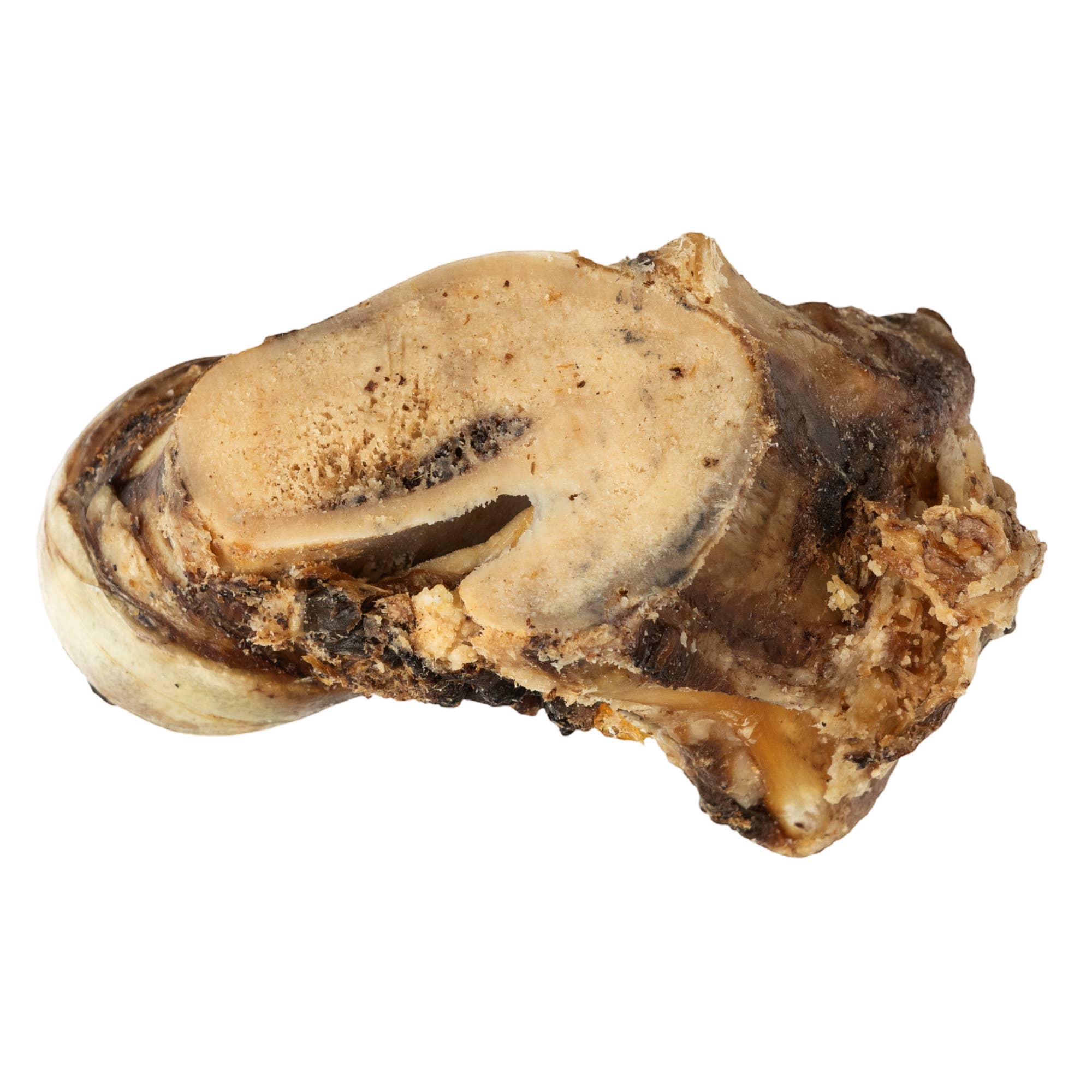 Jojo Modern Pets - Wholesale Pet Treats - Dog - Beef Saddle Knuckle | All-Natural Dog Chew Treat4