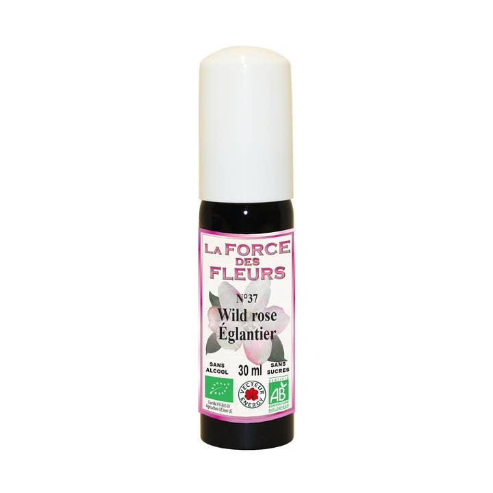 The Strength of Flowers N37 Eglantier/Wild Rose* 30ml Spray - NF for wholesale by Vecteur Energy