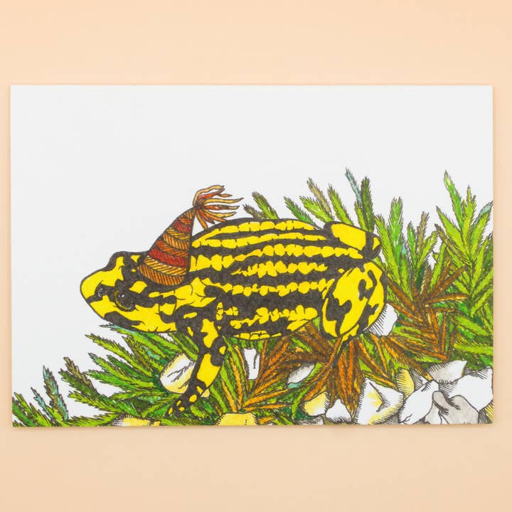 Sunshine Sea Art - Vendita all'ingrosso Biglietti di auguri - Biglietto di Auguri con Raganella Corroboree Meridionale Carta Animale Australia0