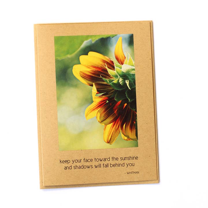 Sunflower/Sunshine for wholesale by Avant Garden Studio