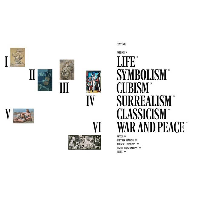 W. W. Norton - Wholesale Arts & Entertainment - Looking at Picasso1