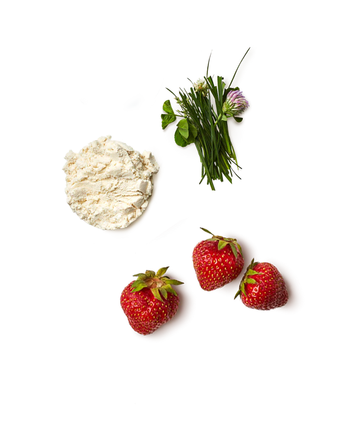 Promix - Wholesale Protein/Superfood Powder - Strawberry Milk Whey Protein Isolate Powder2