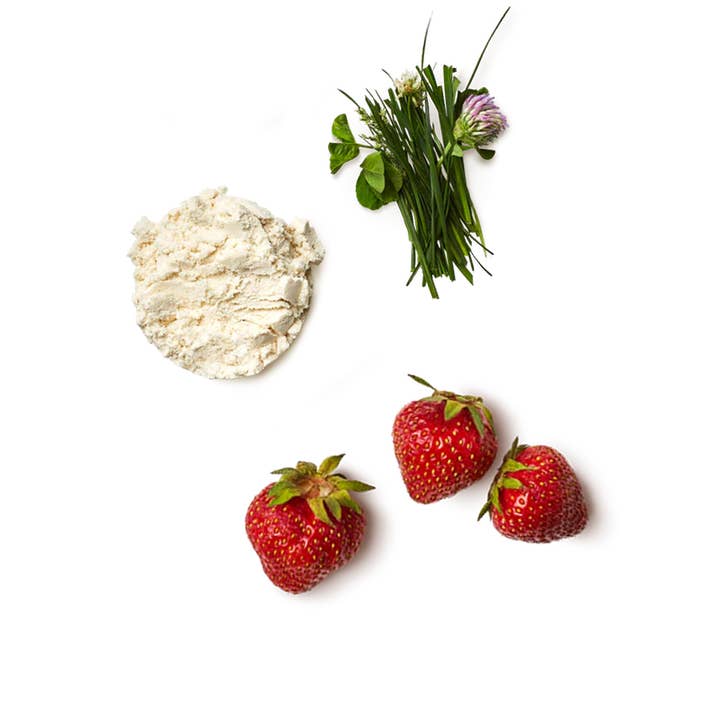 Promix - Wholesale Protein/Superfood Powder - Strawberry Milk Whey Protein Isolate Powder2