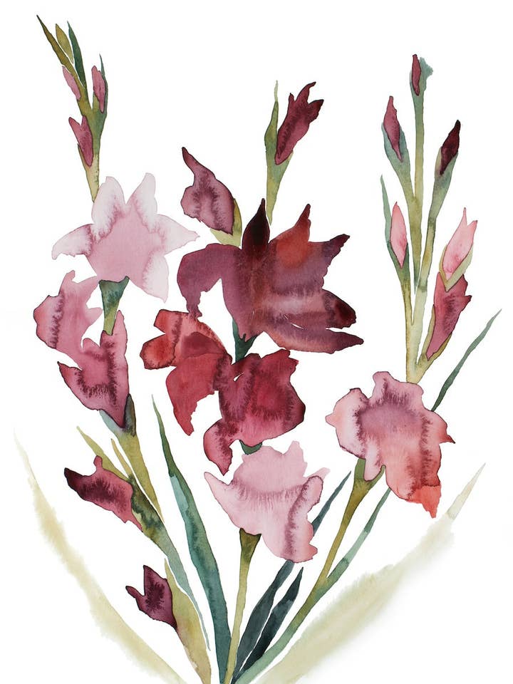 Gladiolus Nr. 2 für den Großhandel von Elizabeth Becker