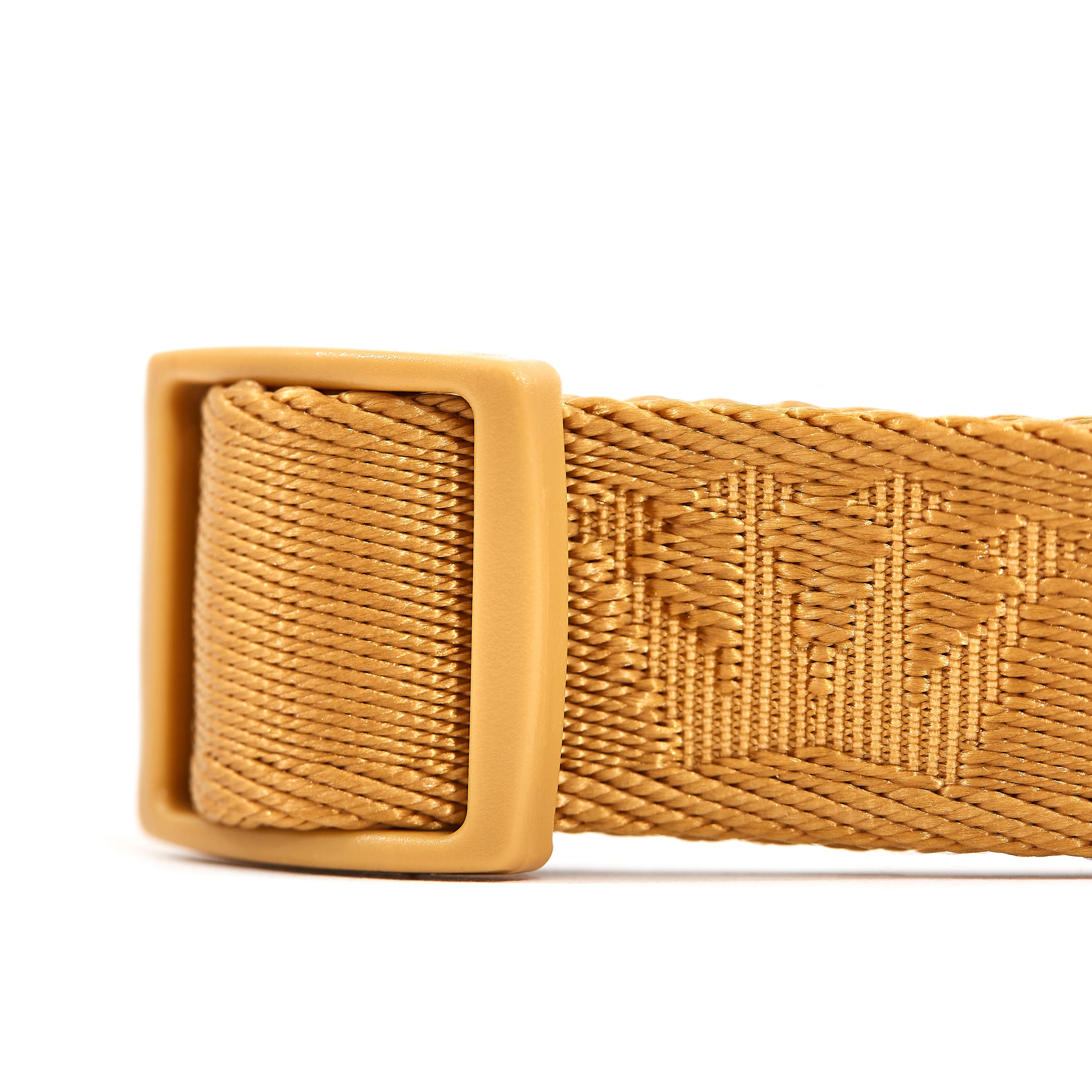 ARISTOPET - Wholesale Pet Collar - Dog - SIGNATURE COLLAR10