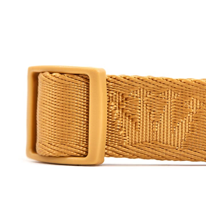 ARISTOPET - Wholesale Pet Collar - Dog - SIGNATURE COLLAR10