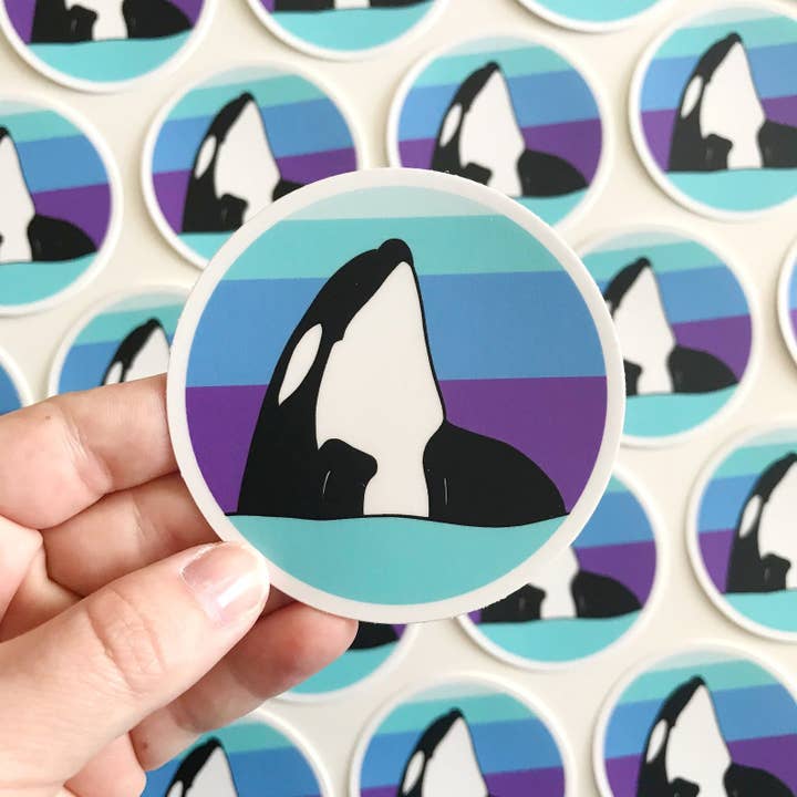 Sablewood Paper Company - Wholesale Sticker - Spyhopping Orca (Sticker)