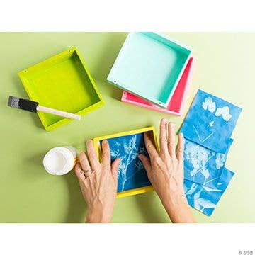 Fun Express - Vente Papiers pour peinture - PAPIER SENSIBLE AU SOLEIL NATURE PRINT (12PC)1