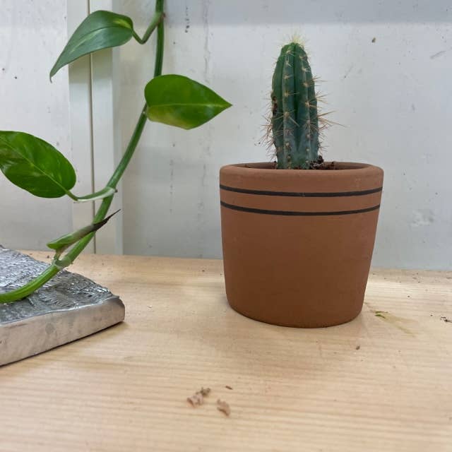 Women of the Cloud Forest - Wholesale Plant Pot - Small Ceramic Planter3