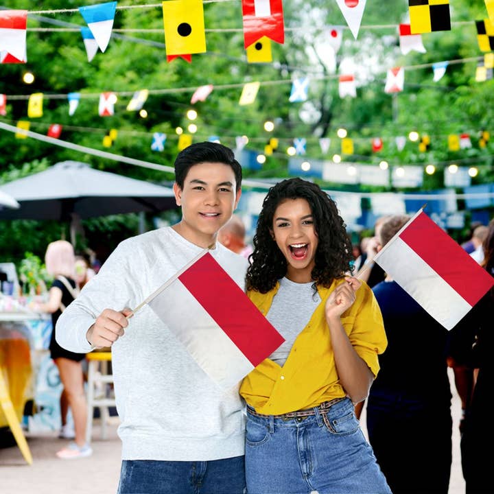 Flags Importer - Wholesale Flag - Monaco 12x18in Stick Flag1