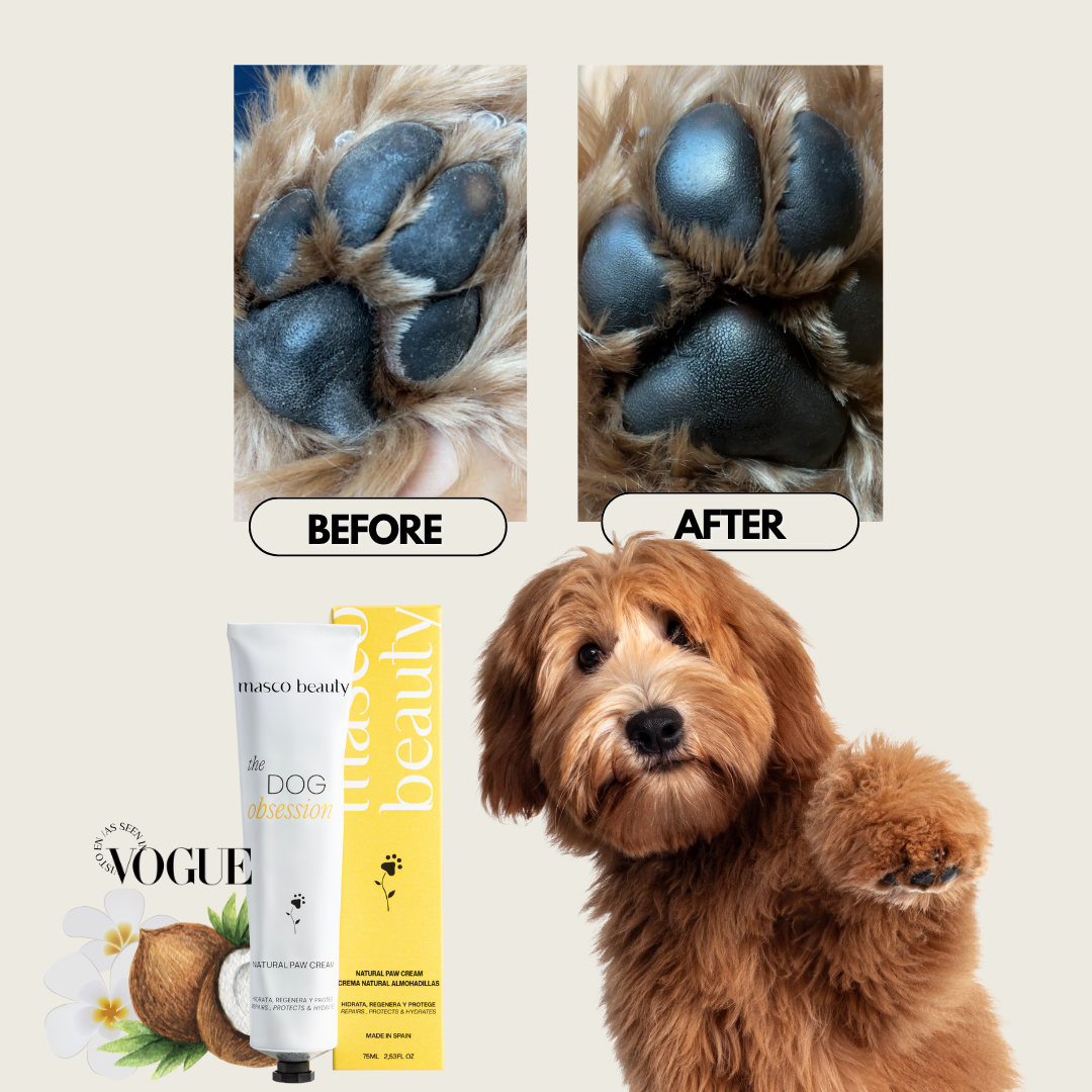 Masco Beauty – wholesale Tasskydd – Balsammousse för hundtassar6