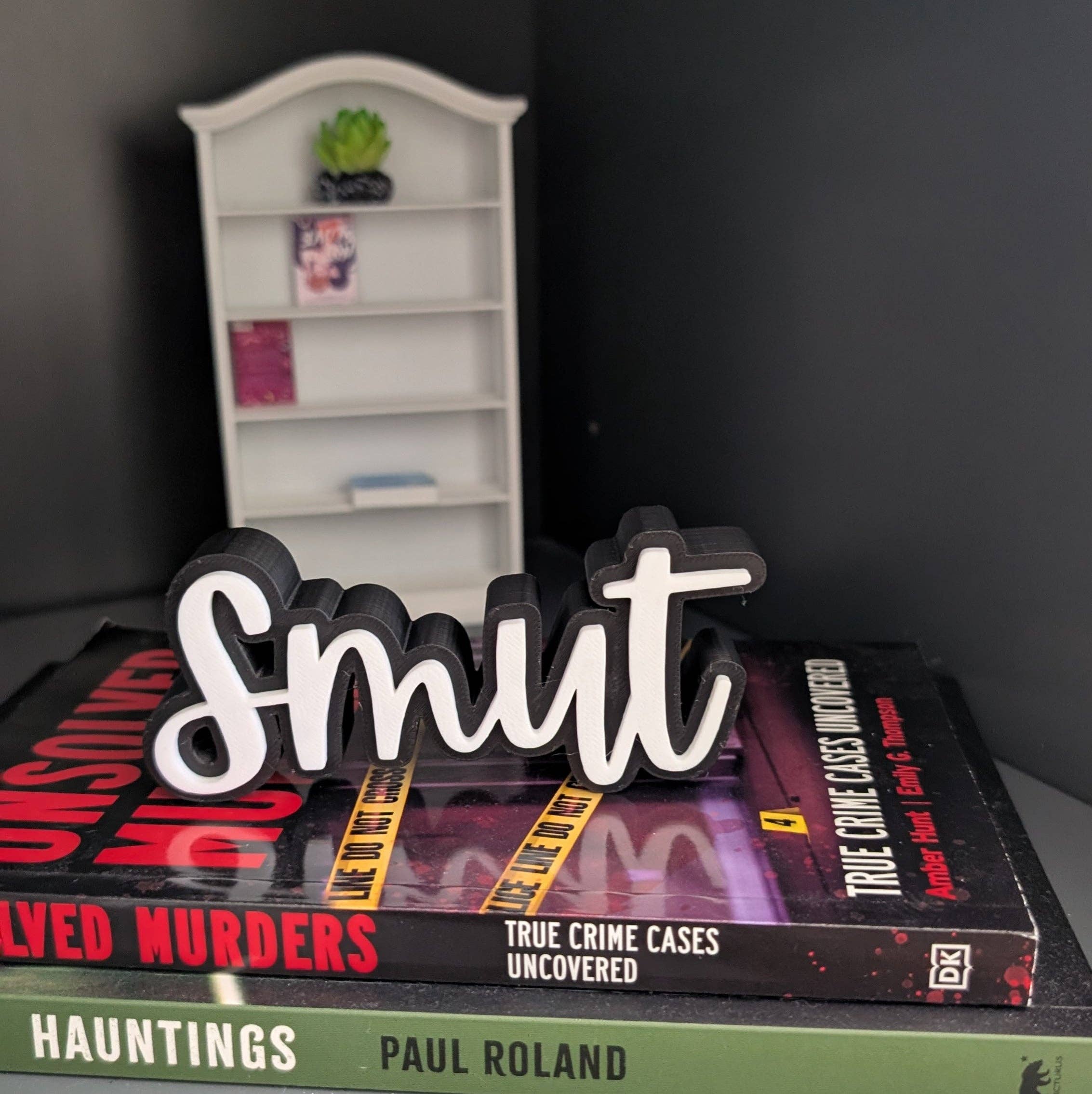 The Gift Genie LLC - Wholesale Bookend - 3D Book Sitters0