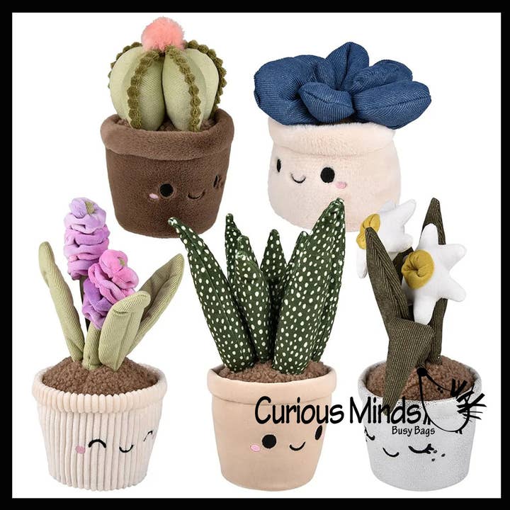 Curious Minds Toys - Wholesale Stuffed/Plush Toy - Kids & Baby - 1 Plush Plant - Potted Succulent Cactus - Cute Artificial