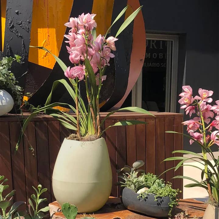 Ecobo - Wholesale Plant Pot - Rochas Pot Planter23