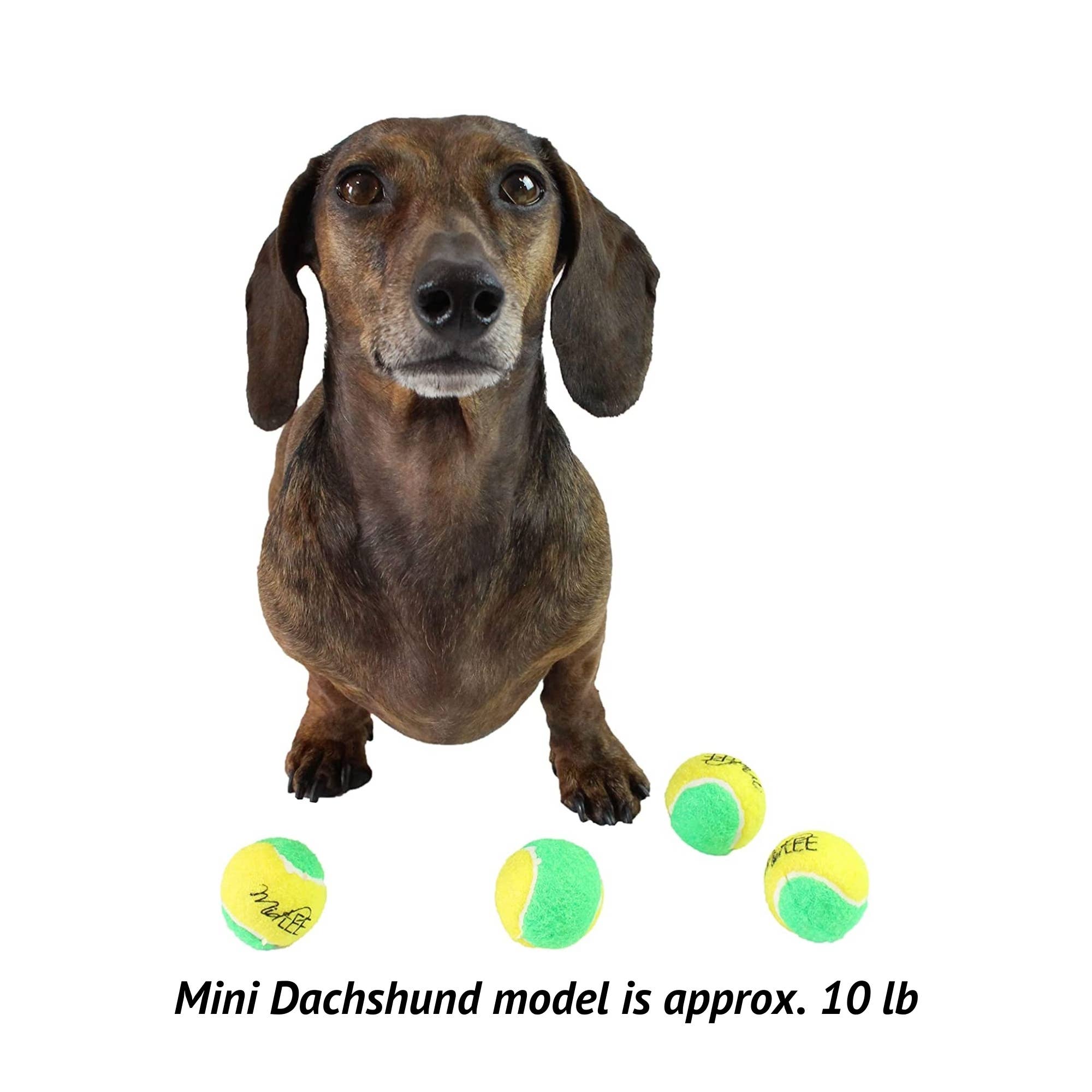 Midlee Designs – wholesale Pet fetch ball – Dog – Midlee Yellow/Green Mini Tennis Balls Set of 126