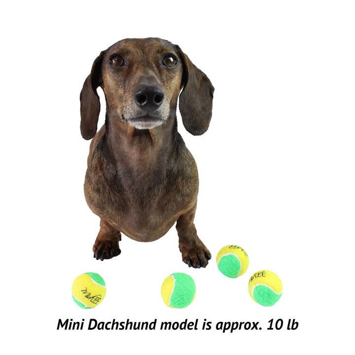 Midlee Designs – wholesale Pet fetch ball – Dog – Midlee Yellow/Green Mini Tennis Balls Set of 126