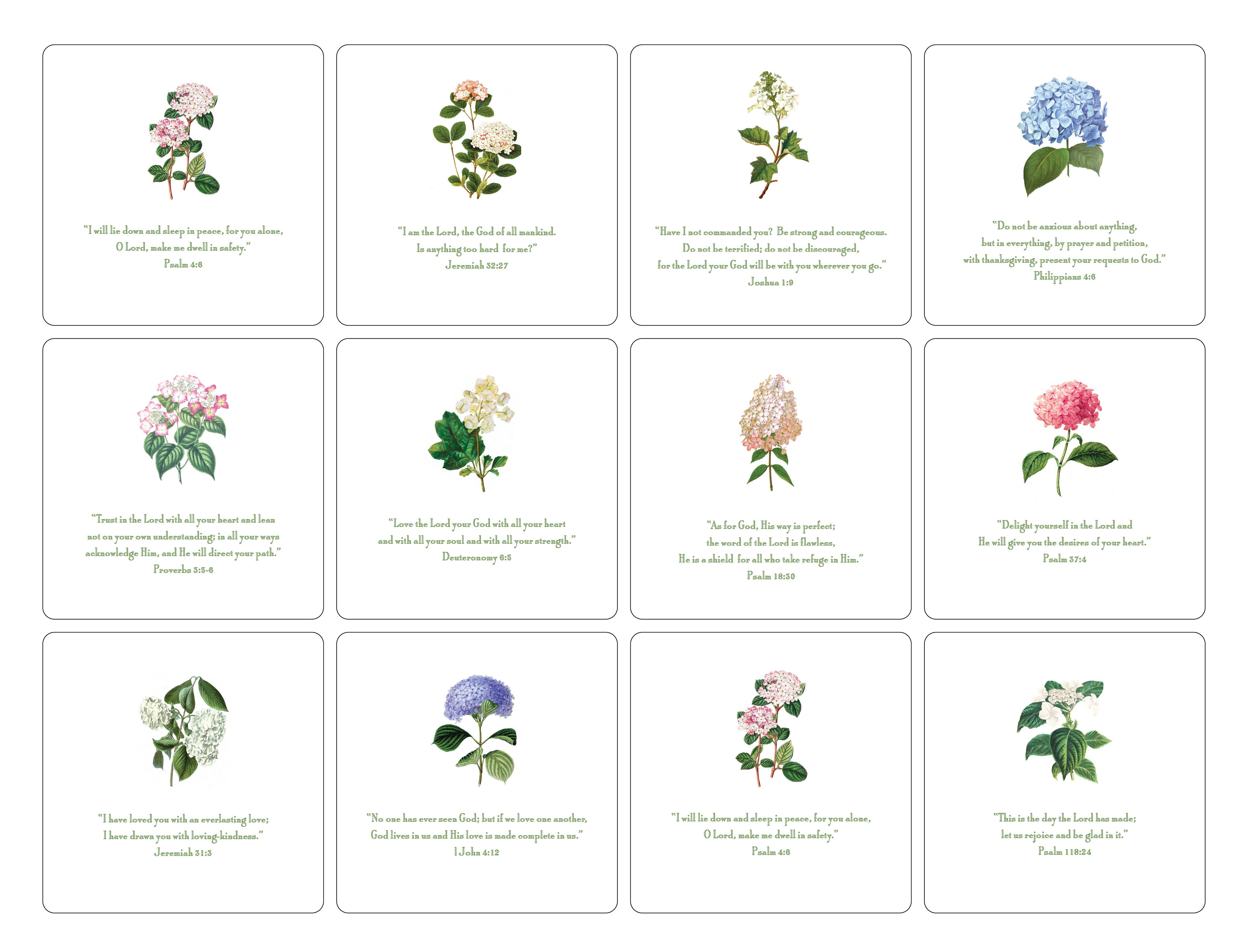 Maison de Papier - Wholesale Advent Calendar - VCO025999 Hydrangea Quote Set 5.5"5