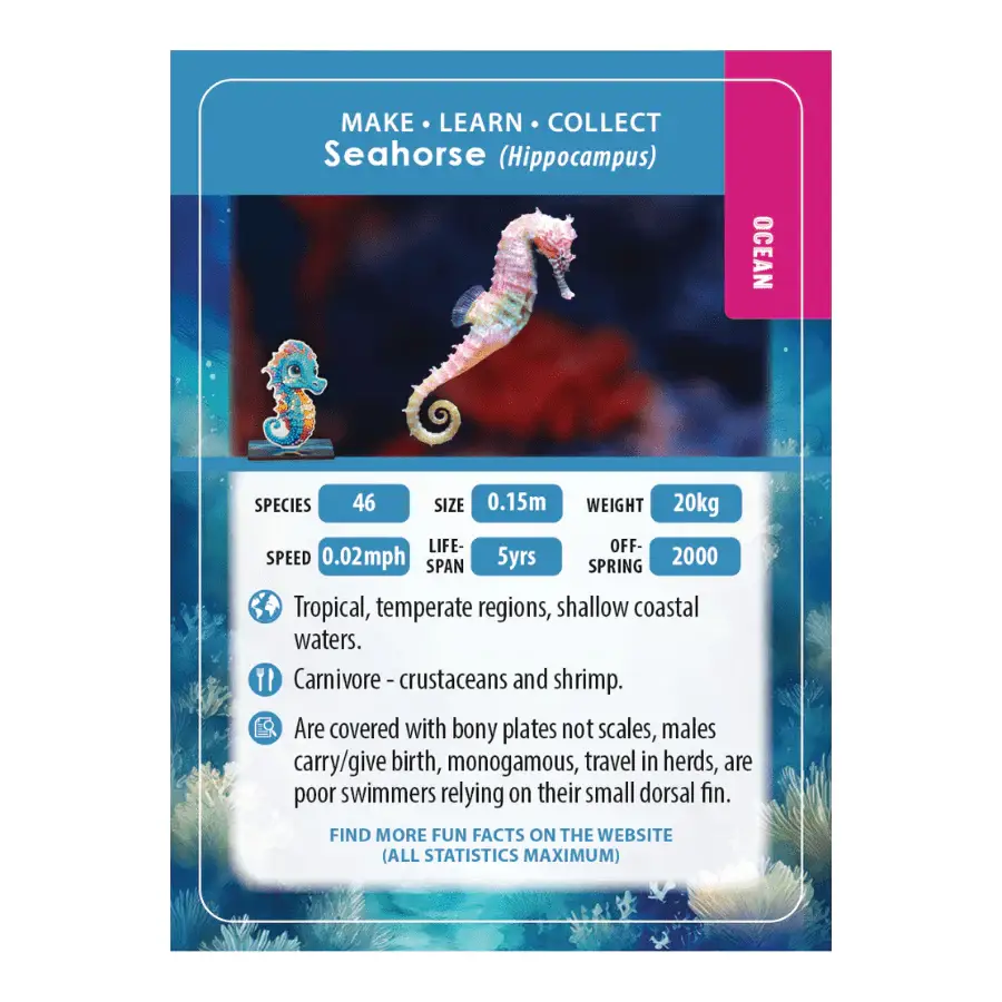 Outset Games and Cobble Hill Puzzles - Wholesale DIY Craft Kit - Kids - Full Display - CA Buddies: Ocean (assorted 30 in PDQ)4