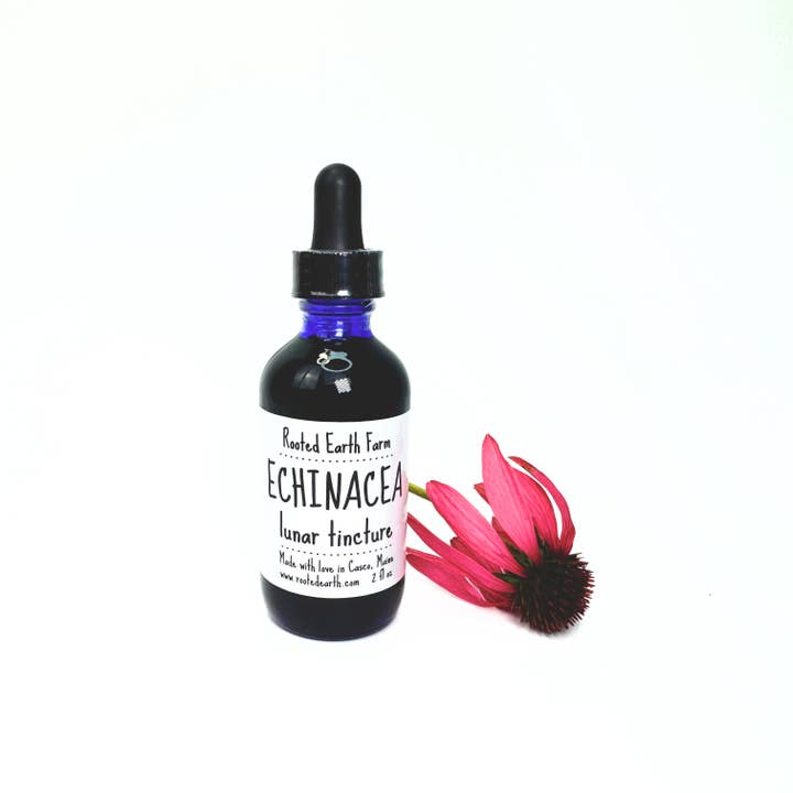 Rooted Earth Farm + Apothecary - Wholesale Tincture - Echinacea Tincture - 2 Size Options