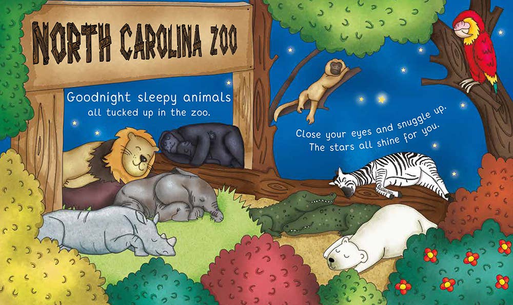 Sourcebooks - Wholesale Baby & Toddler Book (0-2) - Night-Night North Carolina2