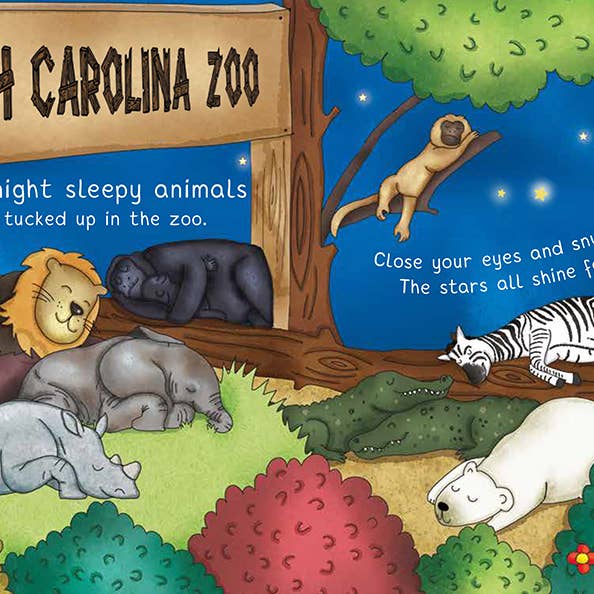 Sourcebooks - Wholesale Baby & Toddler Book (0-2) - Night-Night North Carolina2