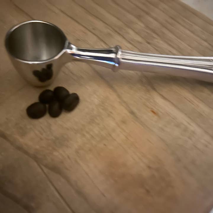 Silverplate Handle Coffee Scoop for wholesale by Cards by Design