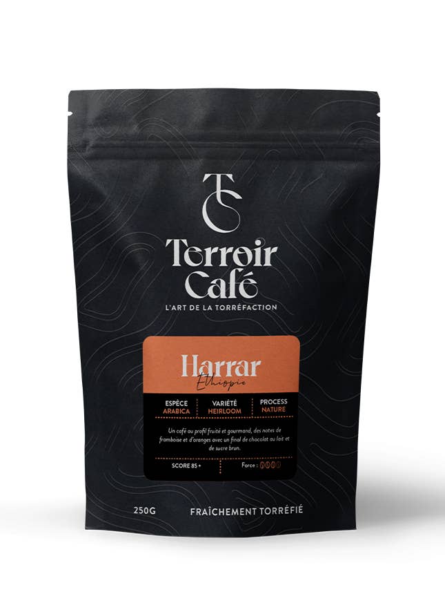 Ethiopian coffee - Harrar for wholesale by Terroir Café
