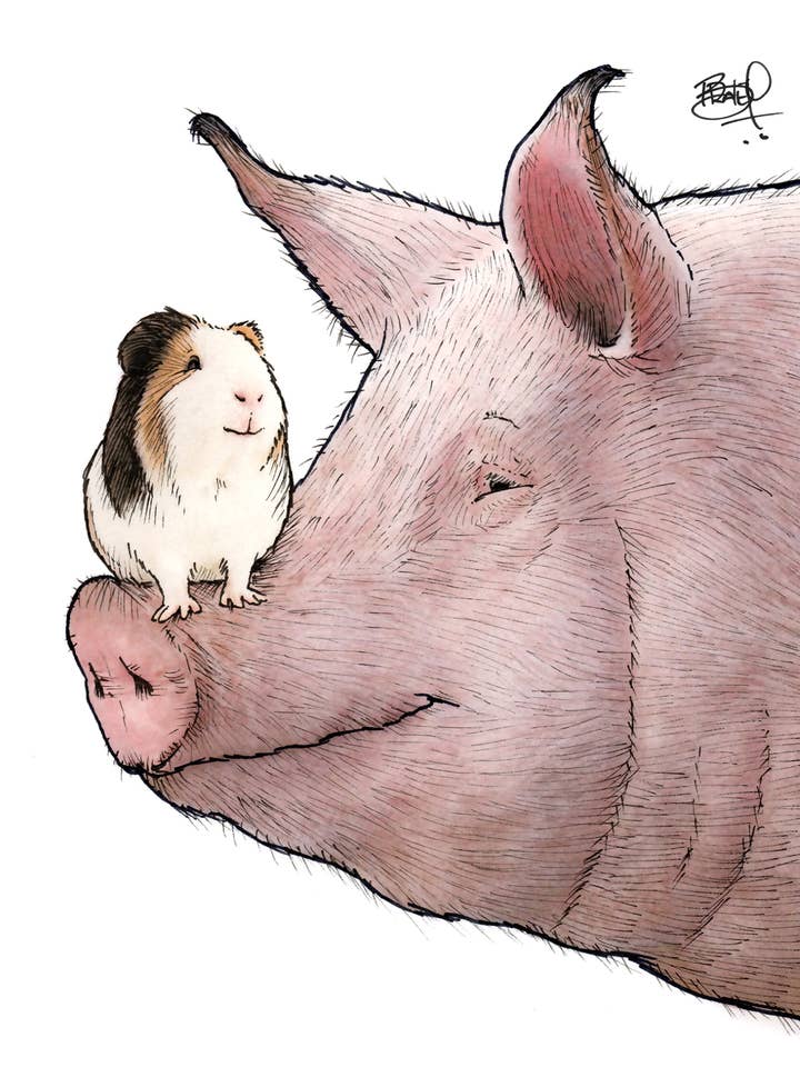 Piggies #227 - vertikal für den Großhandel von Shawn Braley Illustration