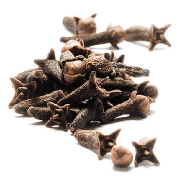 Eclipse Organics - Wholesale Herbs - Organic Clove Buds