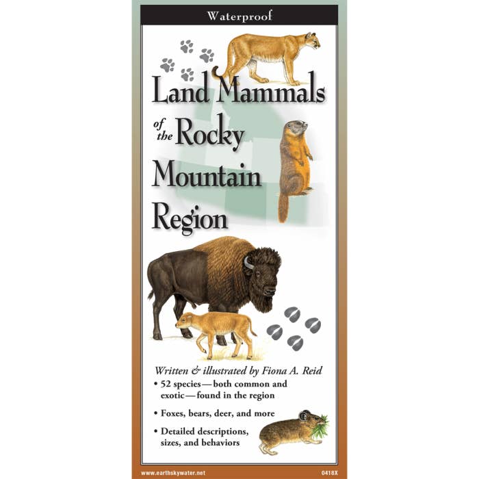 Mammifères terrestres de la région des Rocheuses pour la vente par Earth Sky + Water
