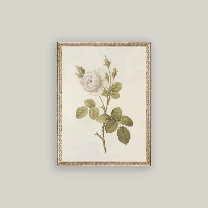 Petal Lane Home - Wholesale Art Print - Misty Rose Framed Antique Art