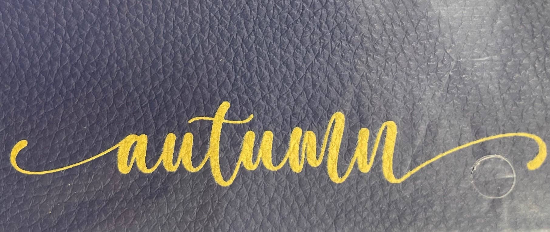 The Classy Cloth WS - Wholesale Make-up/cosmetic bag - Pebble Leather Cosmetic Bag - Monogrammed4