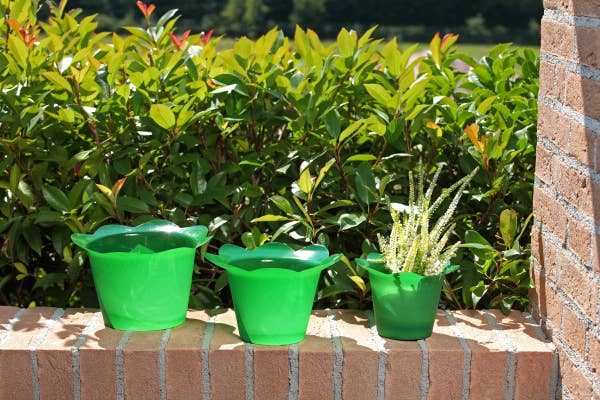 B&P Italia - Wholesale Plant Pot - Colourful cheap pot covers3