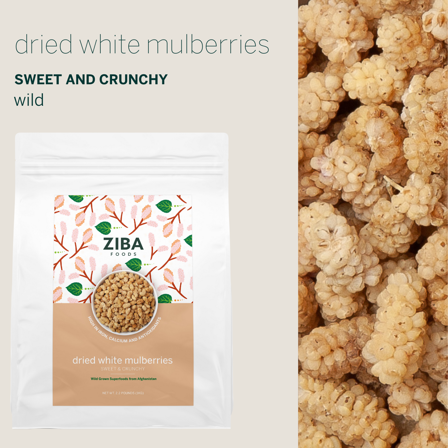 Ziba Foods - Wholesale Dried/Dehydrated Fruit - Dried White Mulberries Bulk, Vegan 1kg3