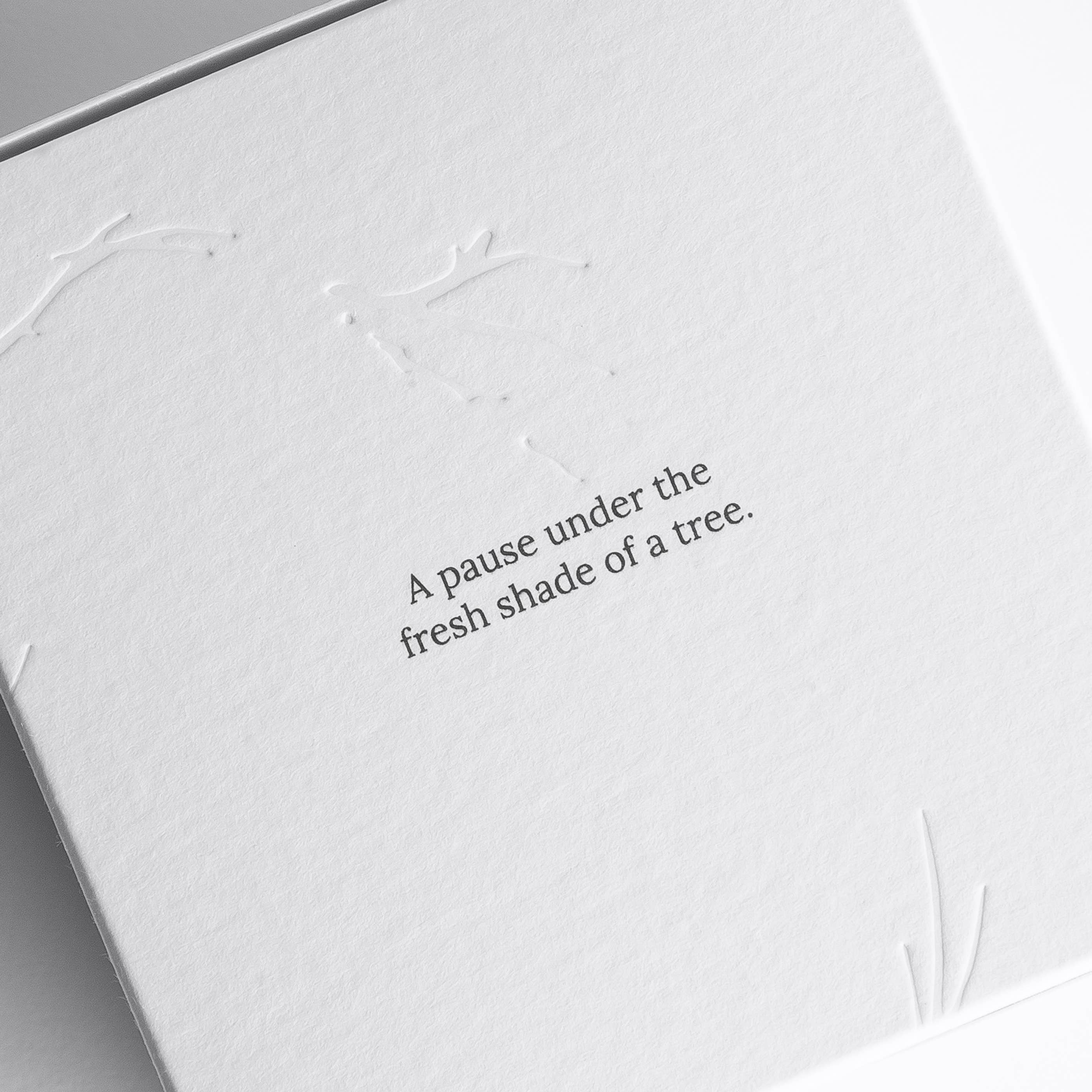 Dareels - Wholesale Jar/Filled Candle - ORCHARD Scented candle3