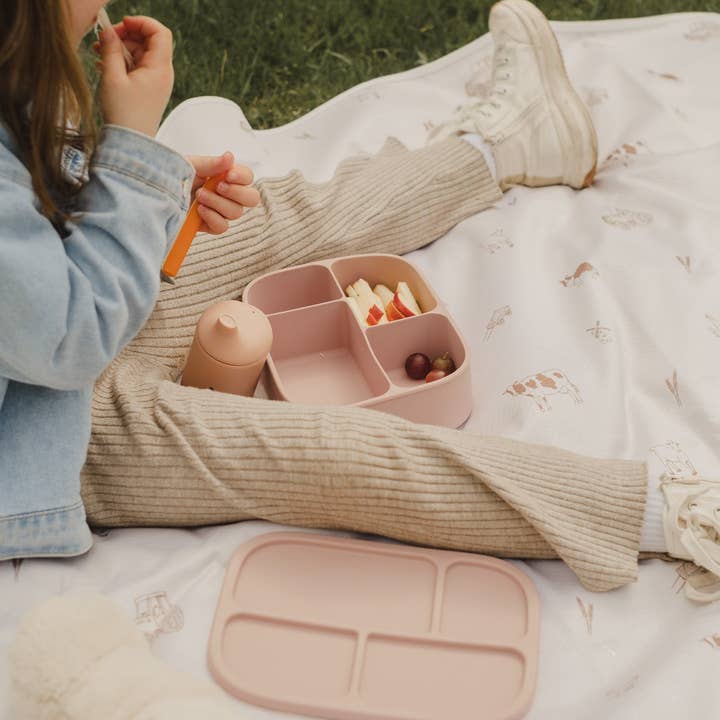 Micasso & Co - Wholesale Lunch Bag/Box - Kids - Silicone bento lunch box10