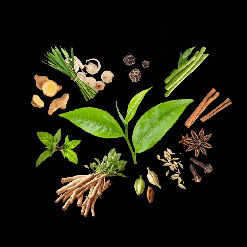 Epices Max Daumin - Wholesale Health/Detox Tea - Ayurvedic chai1