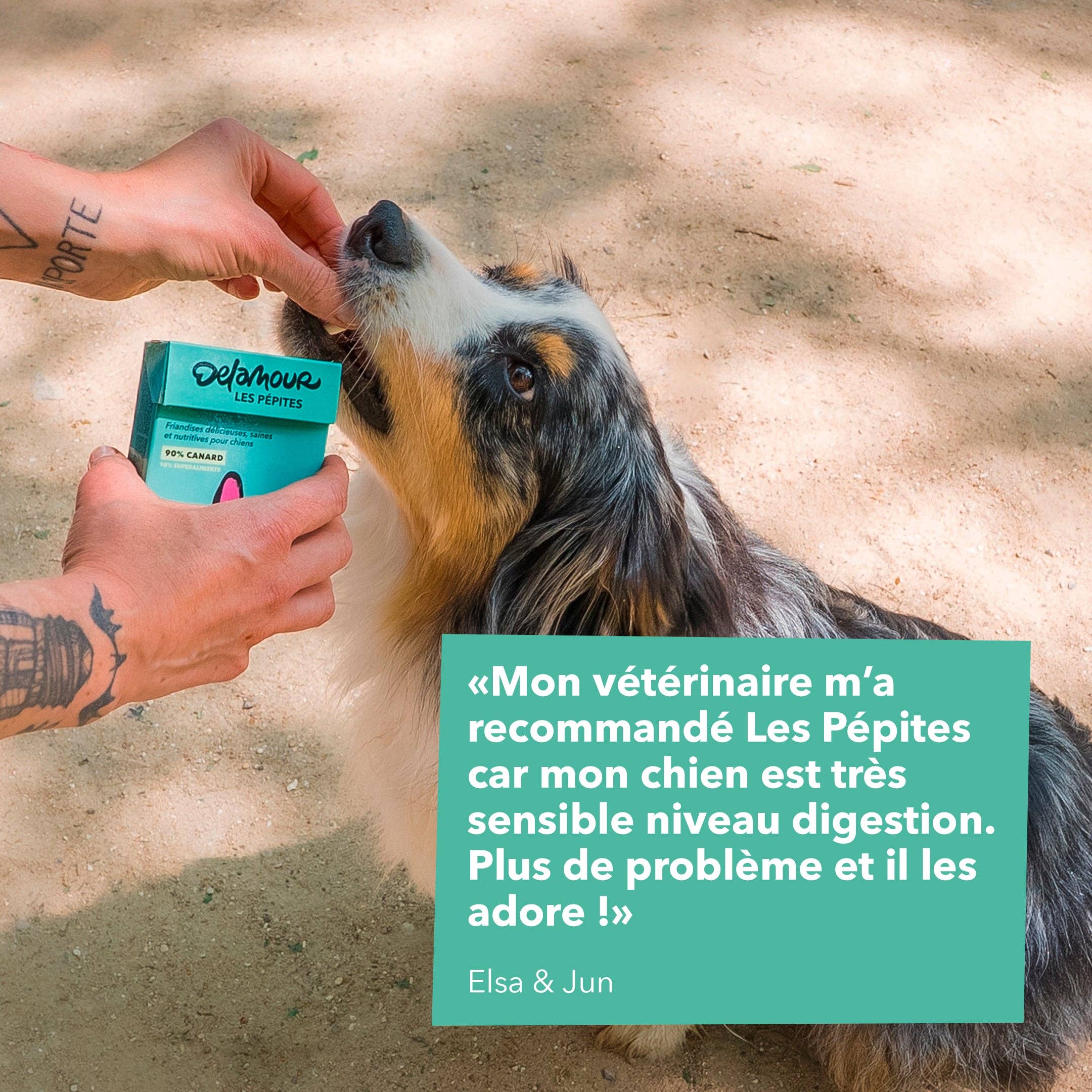 Delamour - Wholesale Pet Treats - Dog - Les Pépites - Air-dried duck snacks (75g)3