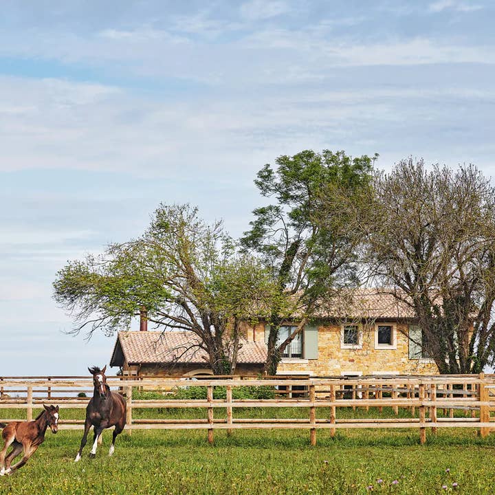 Loft Publications - Wholesale Home & Garden - Modern Rustic9