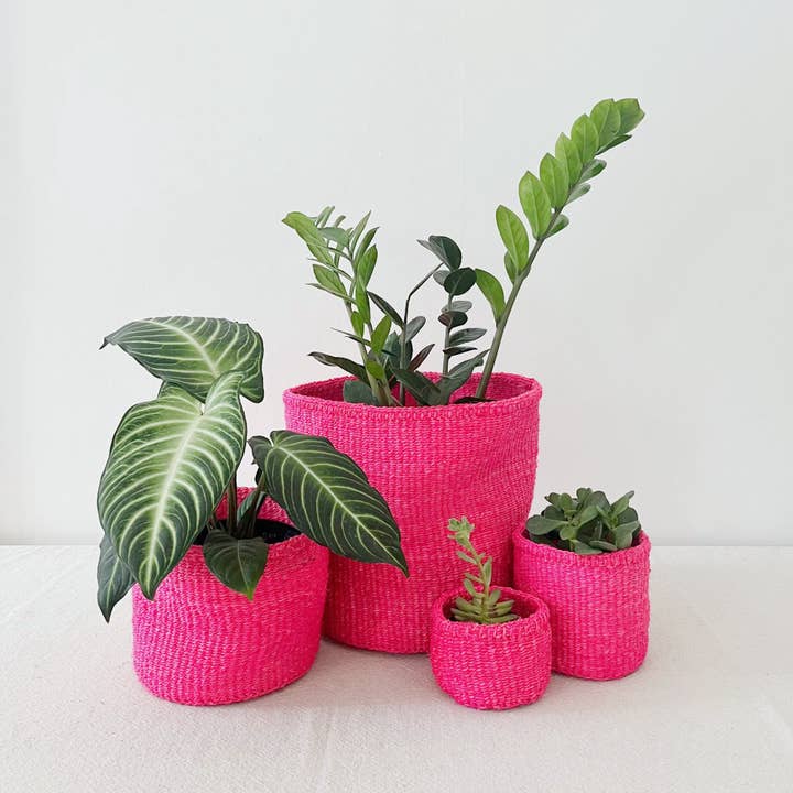 Storage Plant Basket: Dragonfruit for wholesale by Amsha