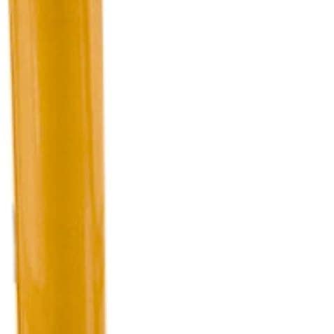 Inflatable Cane Walking Stick - Old Age Costume & Gag Gift for wholesale by 4E's Novelty
