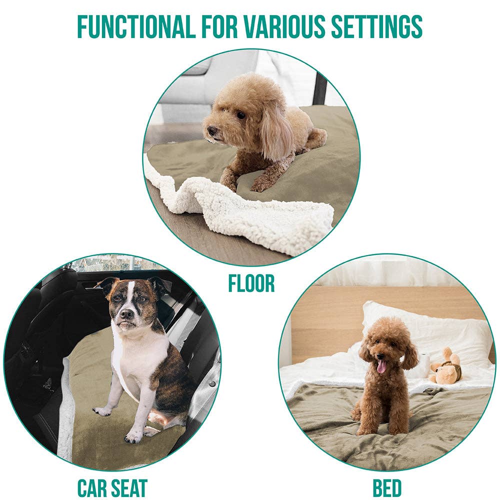 PetAmi - Vente Couverture – chat et chien - Couverture pour animaux en polaire réversible49