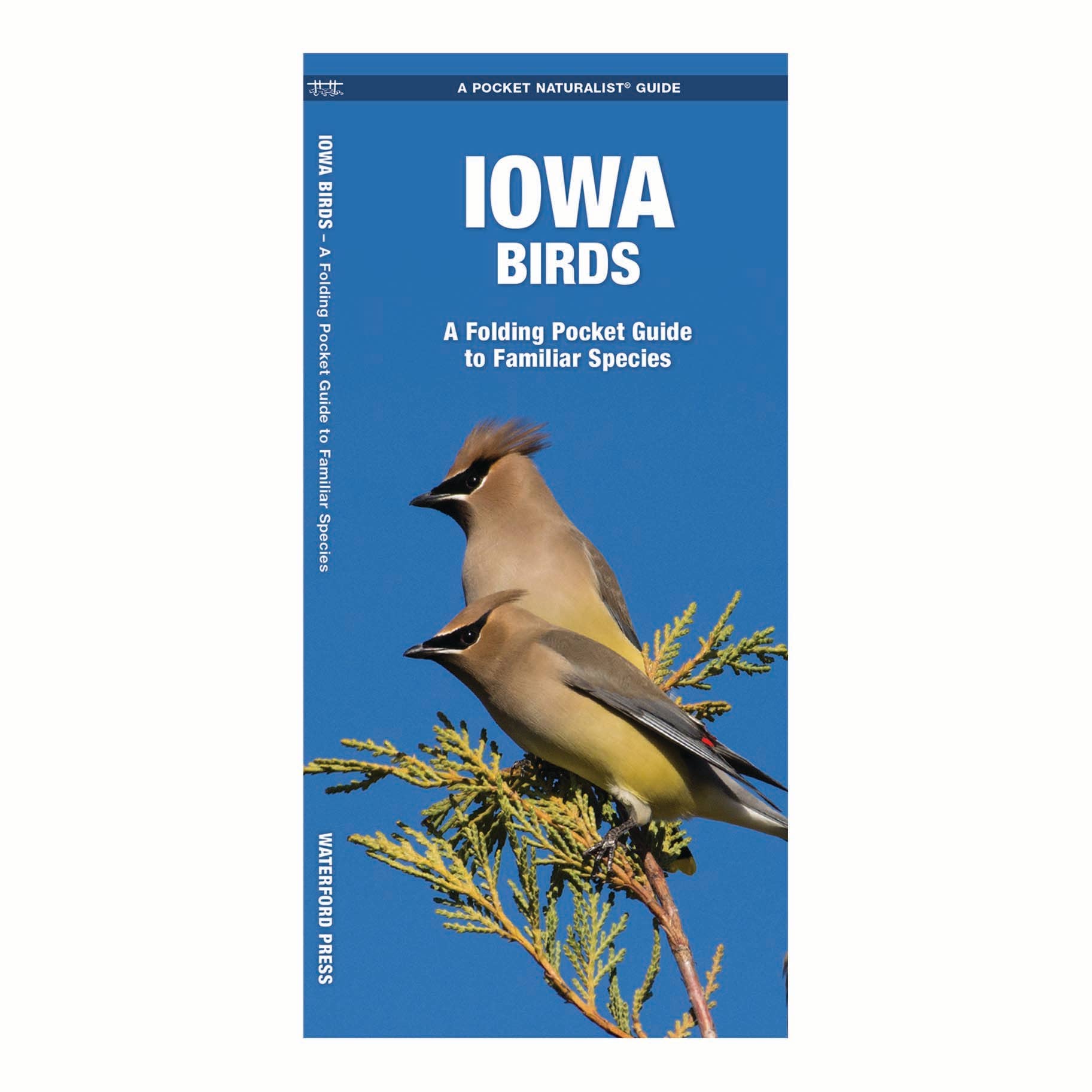 REMOVED BRAND - Wholesale Nature & Outdoors - Iowa Birds Nature Guide0