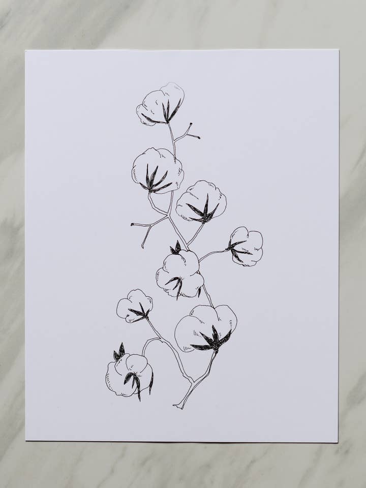 Katoenplant 8x10 print voor wholesale door Krista Pischner Studio
