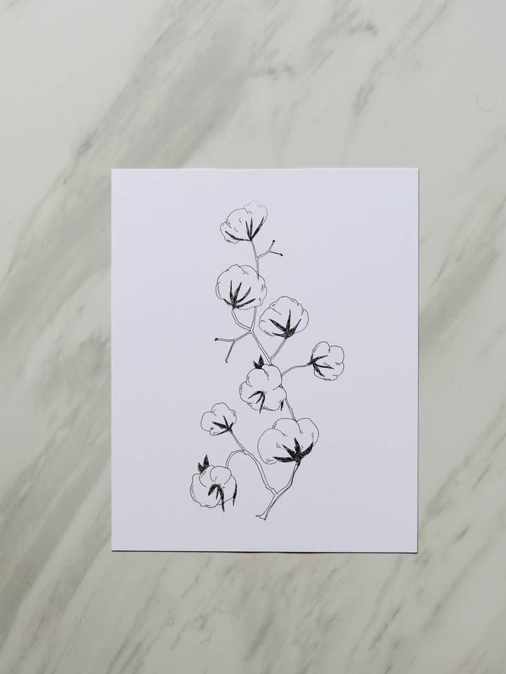 Cotton Plant 8x10 Print for wholesale by Krista Pischner Studio
