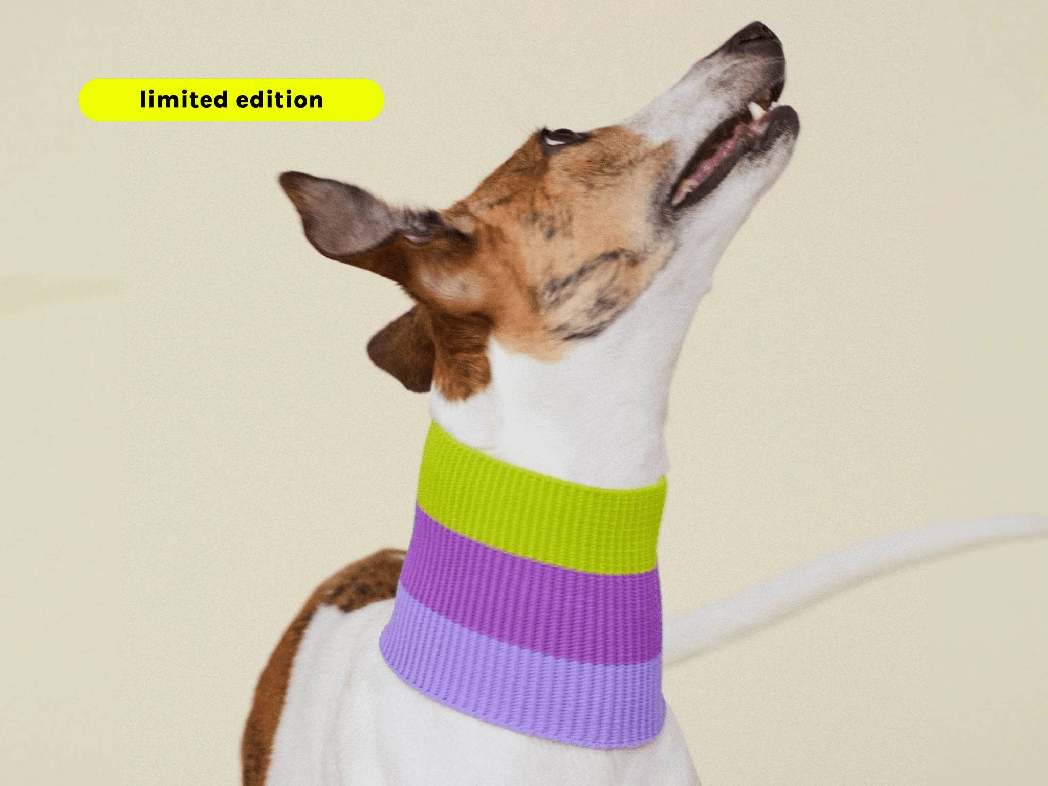 VIOLA VÅR THE GLOW LOOP - Neon Hundhalsduk - (VIOLA SPRING) för wholesale på Faire