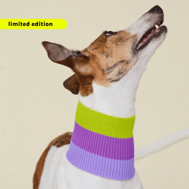 VIOLA VÅR THE GLOW LOOP - Neon Hundhalsduk - (VIOLA SPRING) för wholesale på Faire0