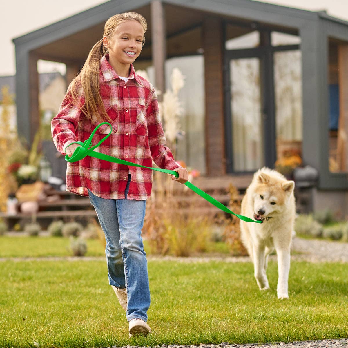 Dogline - Vente Laisse – chien - Laisse de travail pour chien Viper Biothane, 6 pieds de long29