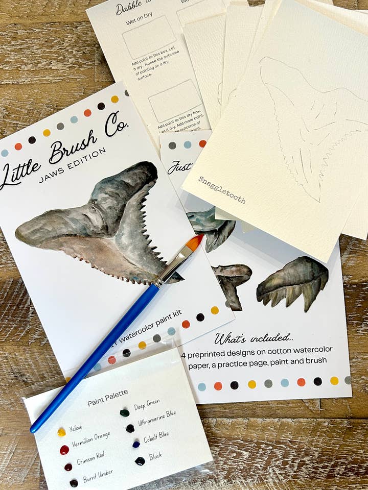 DIY-Aquarellfarben-Set - Haifischzähne, Kiefer-Edition für den Großhandel von Coast and Cork